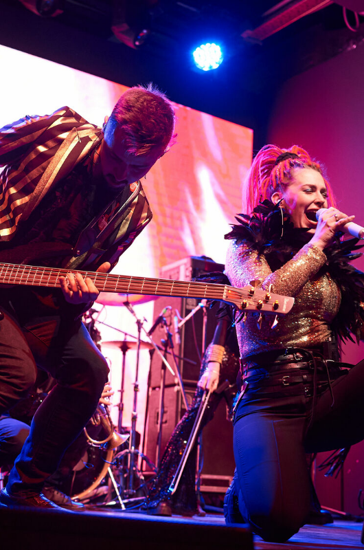 Панды Нью-Йорка Панды Нью-Йорка