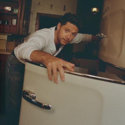 Найл Хоран выпустил песню о знакомстве с любимой девушкой из нового альбома