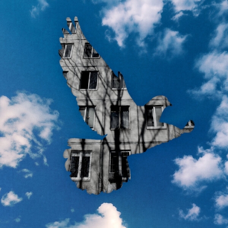 «25/17» снабдили новым текстом «Серого голубя» «Звуков Му»