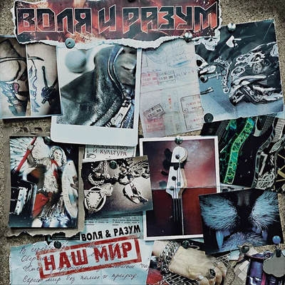Андрей Большаков вошел в «Наш мир» со своей молодой супругой